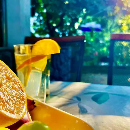 Apartman Terrasia Krk Town